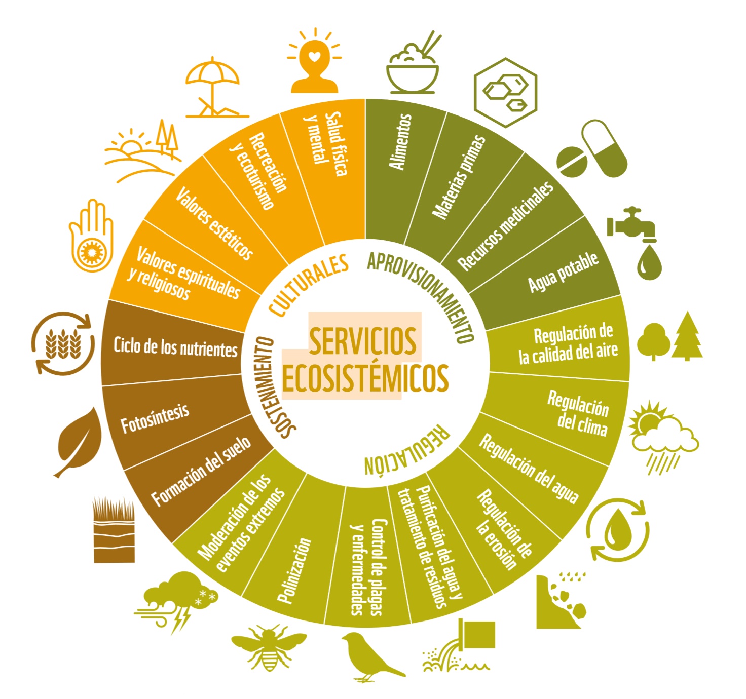 Servicios Ecosistémicos